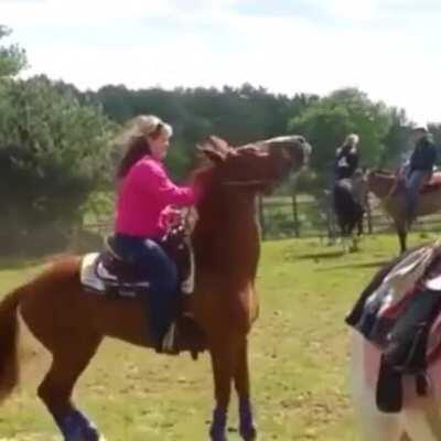 HMFT after I get bodyslammed by a horse