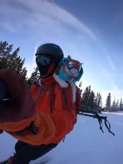 Gary shreds the slopes, not the furniture