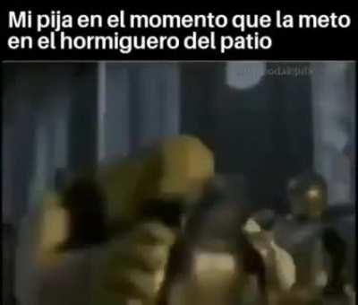 Cuando meto la pija en el hormiguero