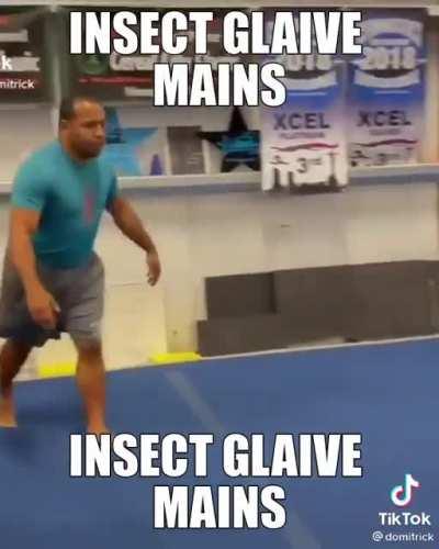 Insect glaive mains be like ⬆⬆⬇↗↘↙➡➡⬅🔃🔁⬆⬇↗↗↘↙➡▶