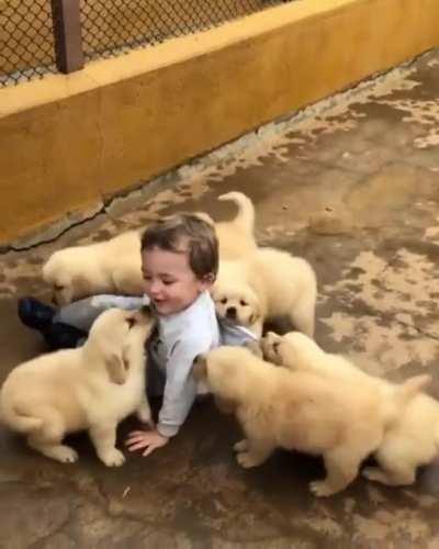 SiCk DoGs EAT a HuMaN ChiLd