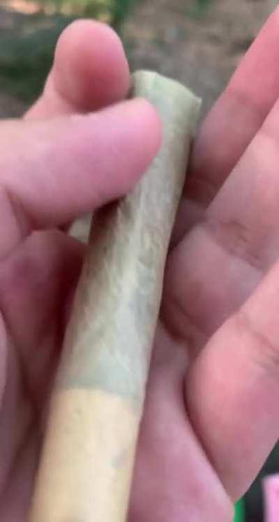 behemoth joint (4+ grams & 4 different strains)