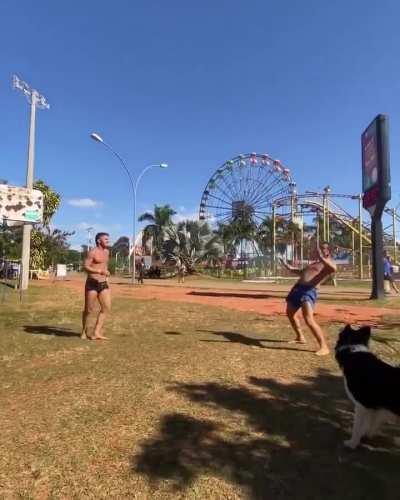 three Humans and one Dog play ball in São Paulo