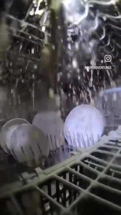 This is what happens inside a dishwasher