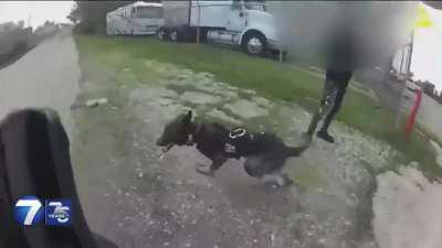 Dog abused by officer for doing his job.