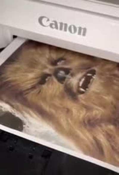 Wookiee