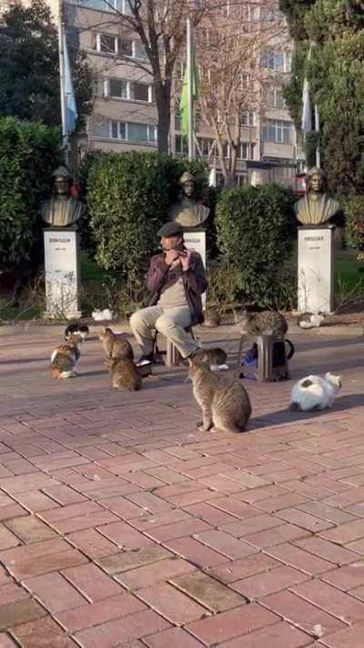 Cat Whisperer