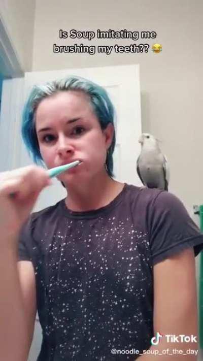 Soup imitates his owner brushing her teeth