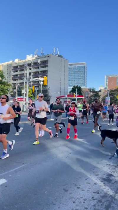 Attempting to cross the street during a marathon #torontowaterfronthalf