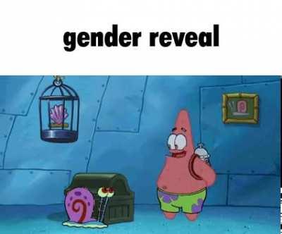 gender reveal