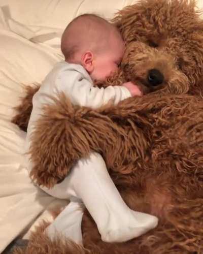 Baby hooman with his fluffy buddy