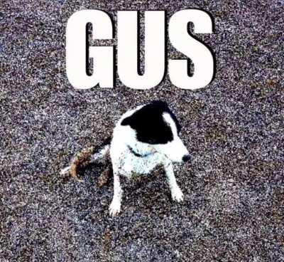 Gus