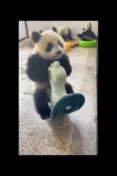 Love is a bumpy ride - ft Panda.