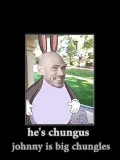 Johnny Sins is Big Chungus