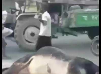 Man vs Bull : Indian Edition