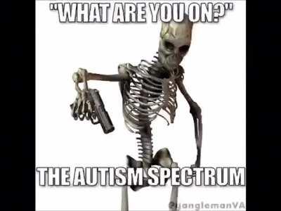 THE AUTISM SSSSPECTRUM.