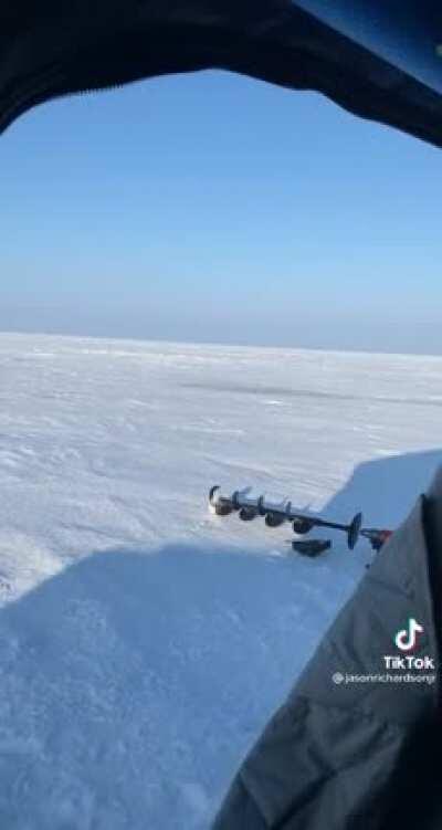 Man throws a fish onto the ice and...