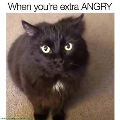 When you're extra ANGRY