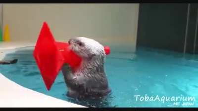 An otter playing with a cone