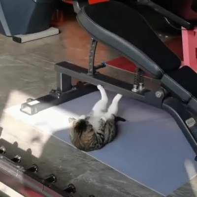 dechonking at the gym