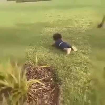 Nose Dive into grass