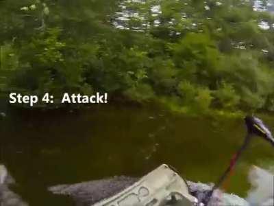 WCGW Smashing a Bee Nest on a boat