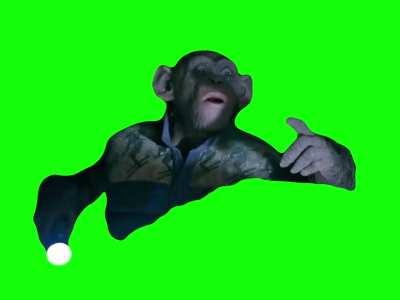 [GREEN SCREEN] Monkey saying 