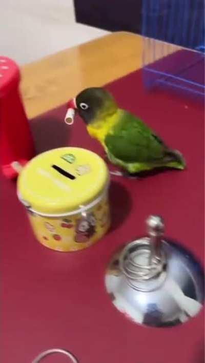 Birb on another level