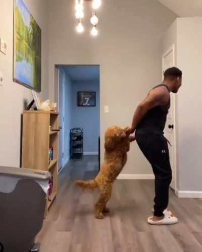 Dancing with the pupper