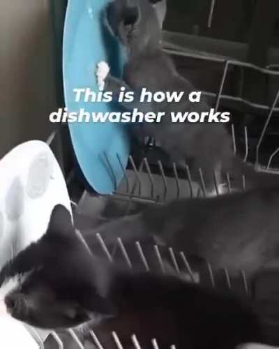 wunkwasher