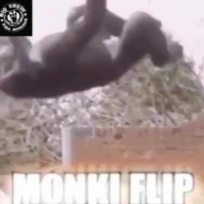 Monki flip