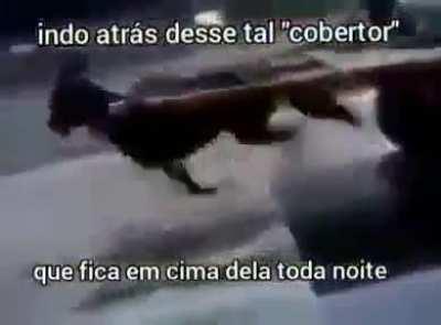 Quem que é esse cara aii?