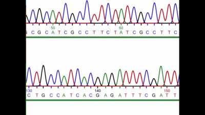 When you tried to use these &quot;10 years old primers&quot; you found under the fridge for an Illumina Sequencing