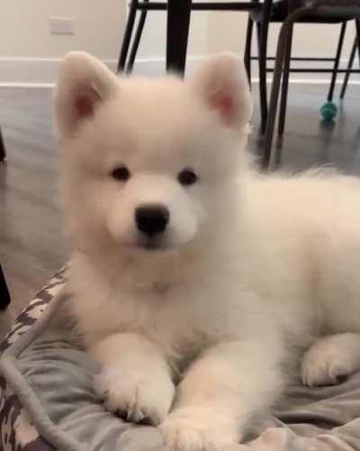 Adorable lil cloud