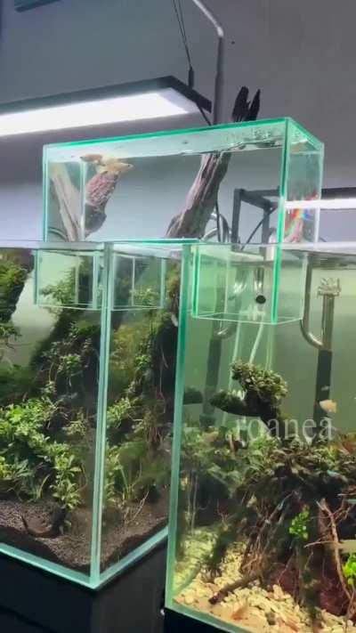 How to connect two fish tanks with a modular expansion