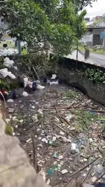 The group of workers clean the logged water within hours