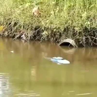 Remote Control Boat Fishing