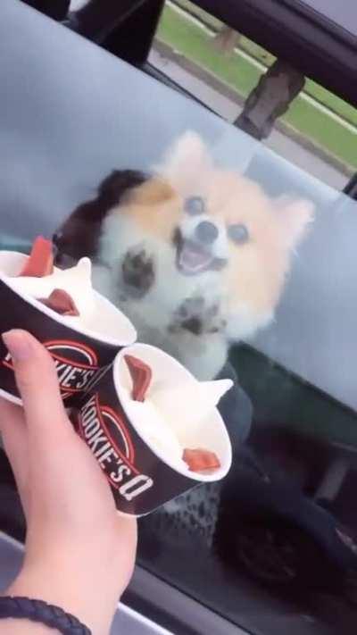 Somebody loves ice-cream a little too much...