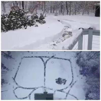 This guy built a snow racetrack for his dogs