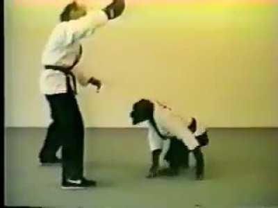 Monkey who does karate