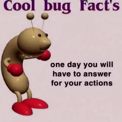 Roole bug facts