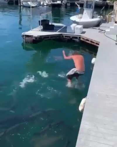 Fishing without a pole, WCGW?