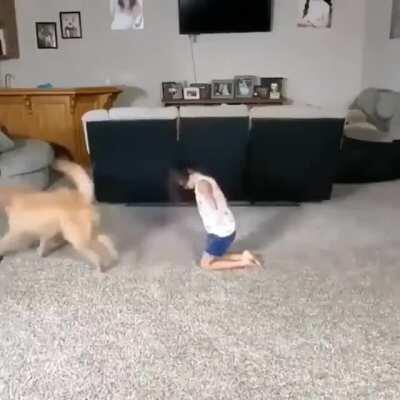 Well trained dog by an acrobat kid