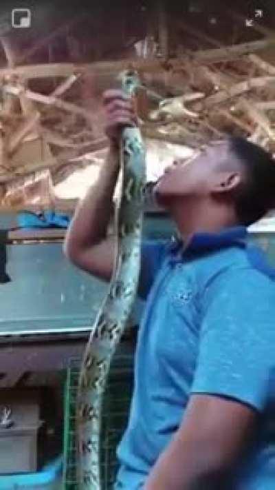 WCGW annoying a snake??