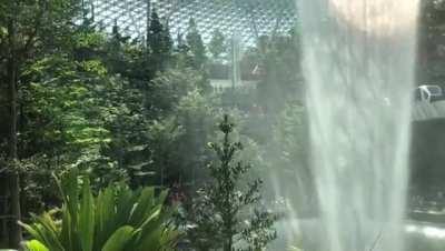 Singapore's airport terminal looks out of this world.