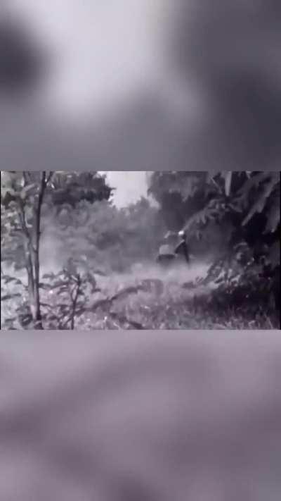 ARVN soldiers ambush Vietcong