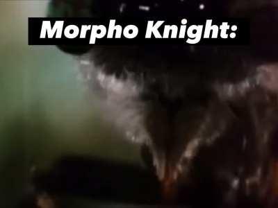 Morpho Knight: