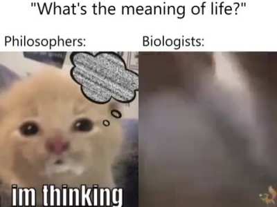 GenZHumor