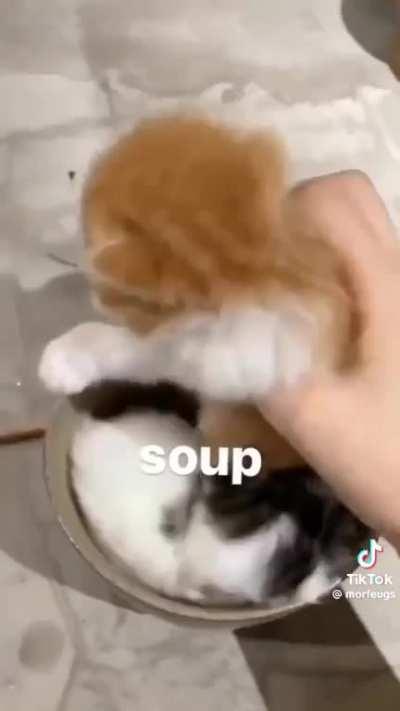 Soup Wunkus 