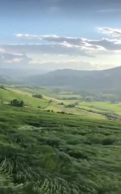 NatureIsFuckingLit